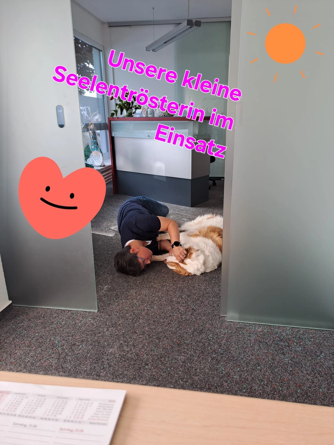 Pflegedienst Döring - Ambulanten Pflegedienstes - Eine Person liegt auf dem Büroboden und kuschelt sanft mit einem großen, flauschigen braun-weißen Hund. Darüber prangt in rosafarbener deutscher Schrift: „Unsere kleine Seelentrösterin im Einsatz“.